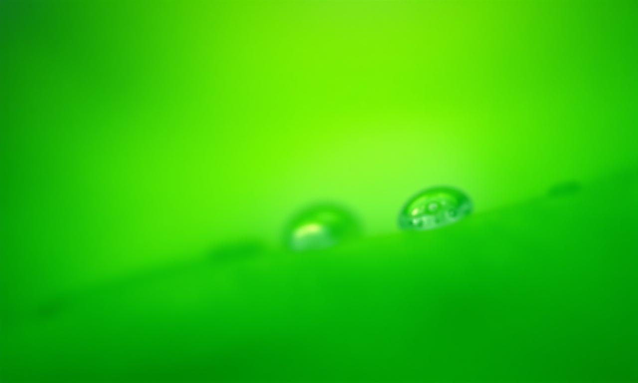 葉の上に輝く水のしずく